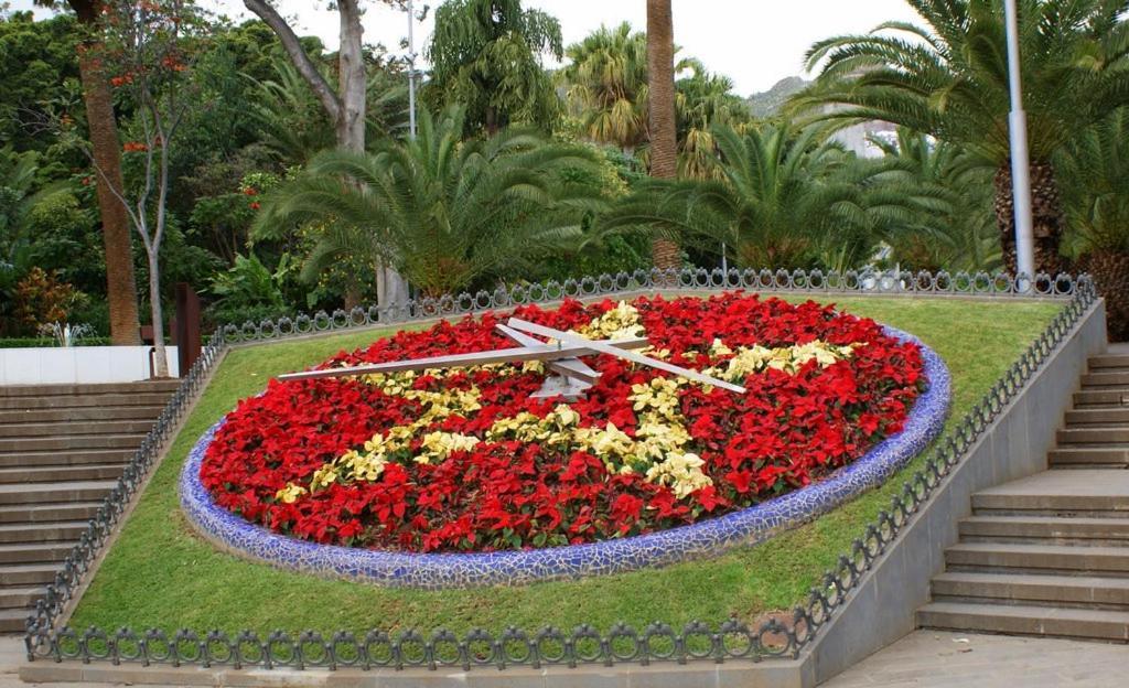 Santa Cruz de Tenerife Toscal Extérieur photo